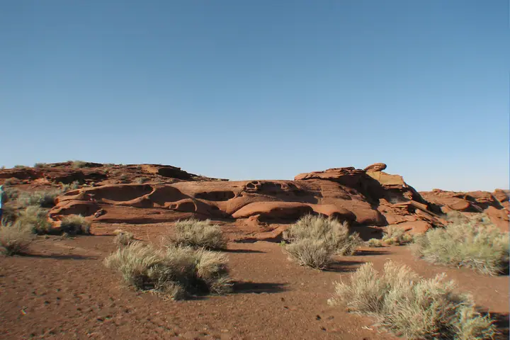251.jpg