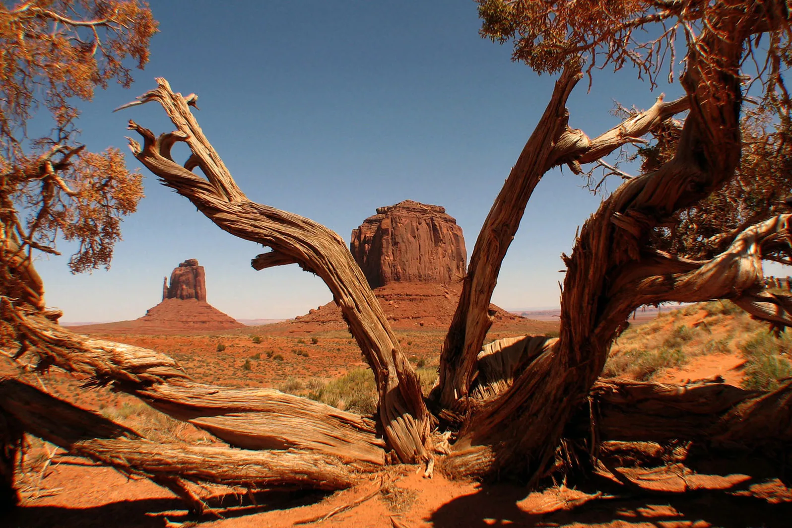 Arizona, Utah – 2008 - 062.jpg