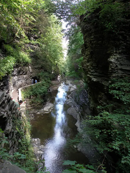 fl029.jpg