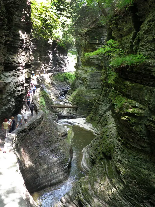 fl017.jpg