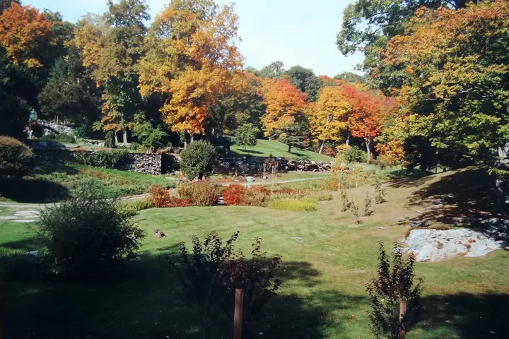 v007.jpg
