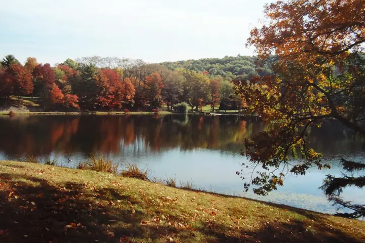 v003.jpg