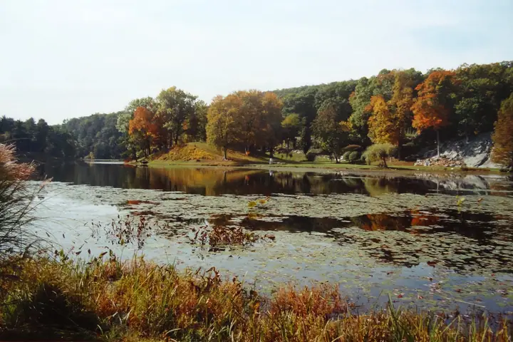 v005.jpg