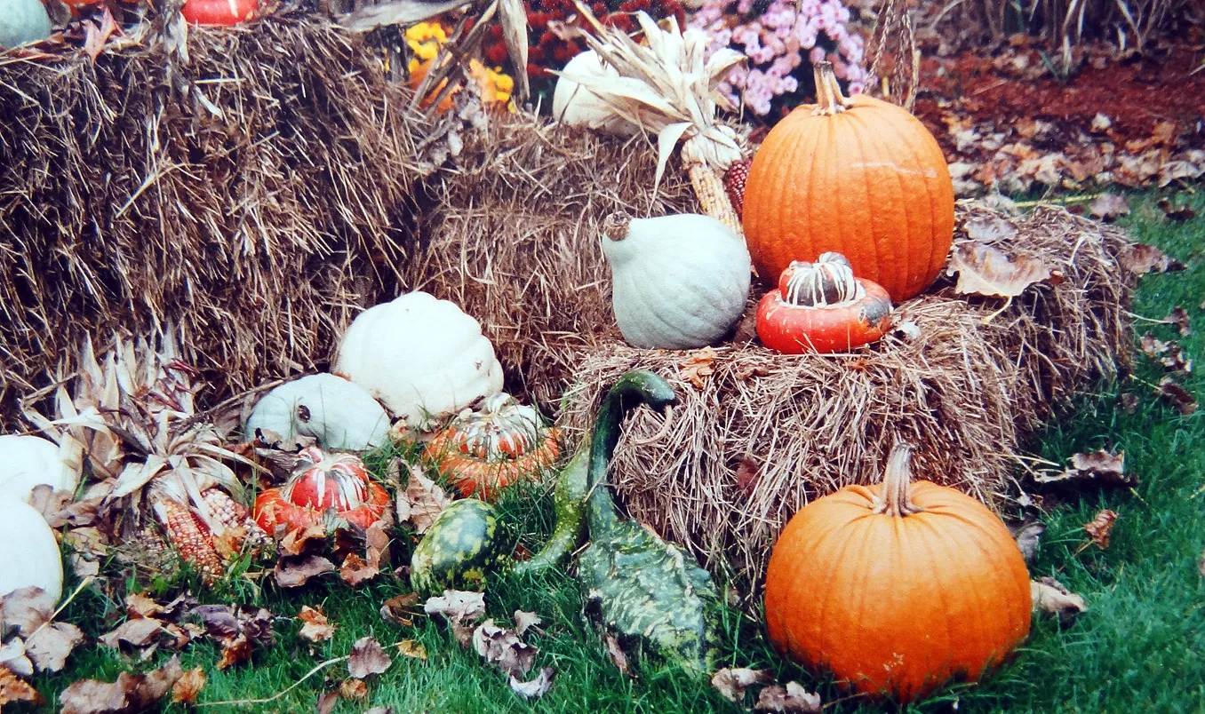 America – 1996-2018 - 033.jpg