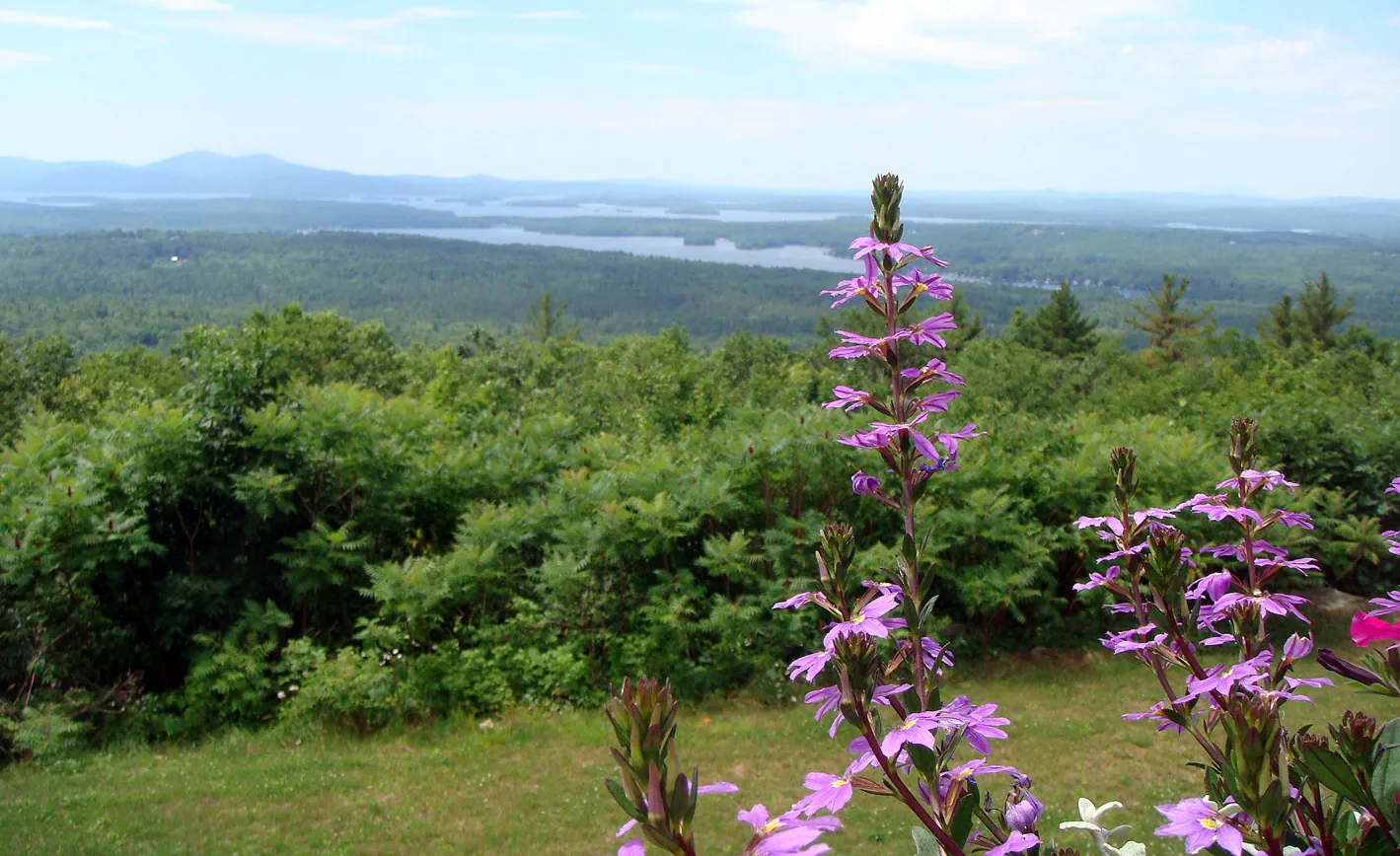 America – 1996-2018 - 063.jpg