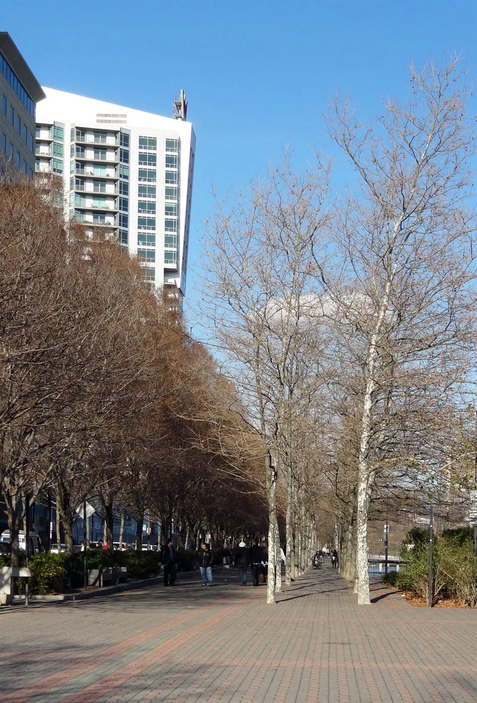 America – 1996-2018 - h030.jpg