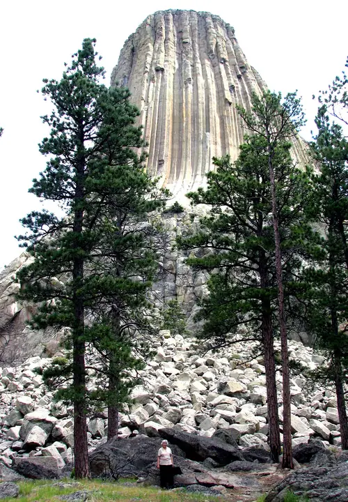 w-257.jpg