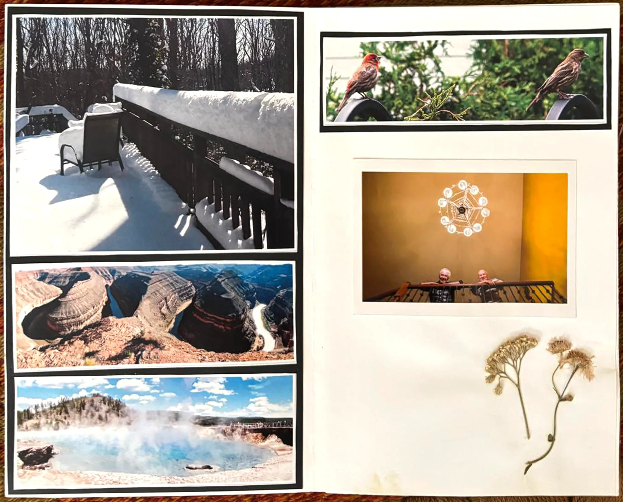 Sonya's Album - Layer 10.png