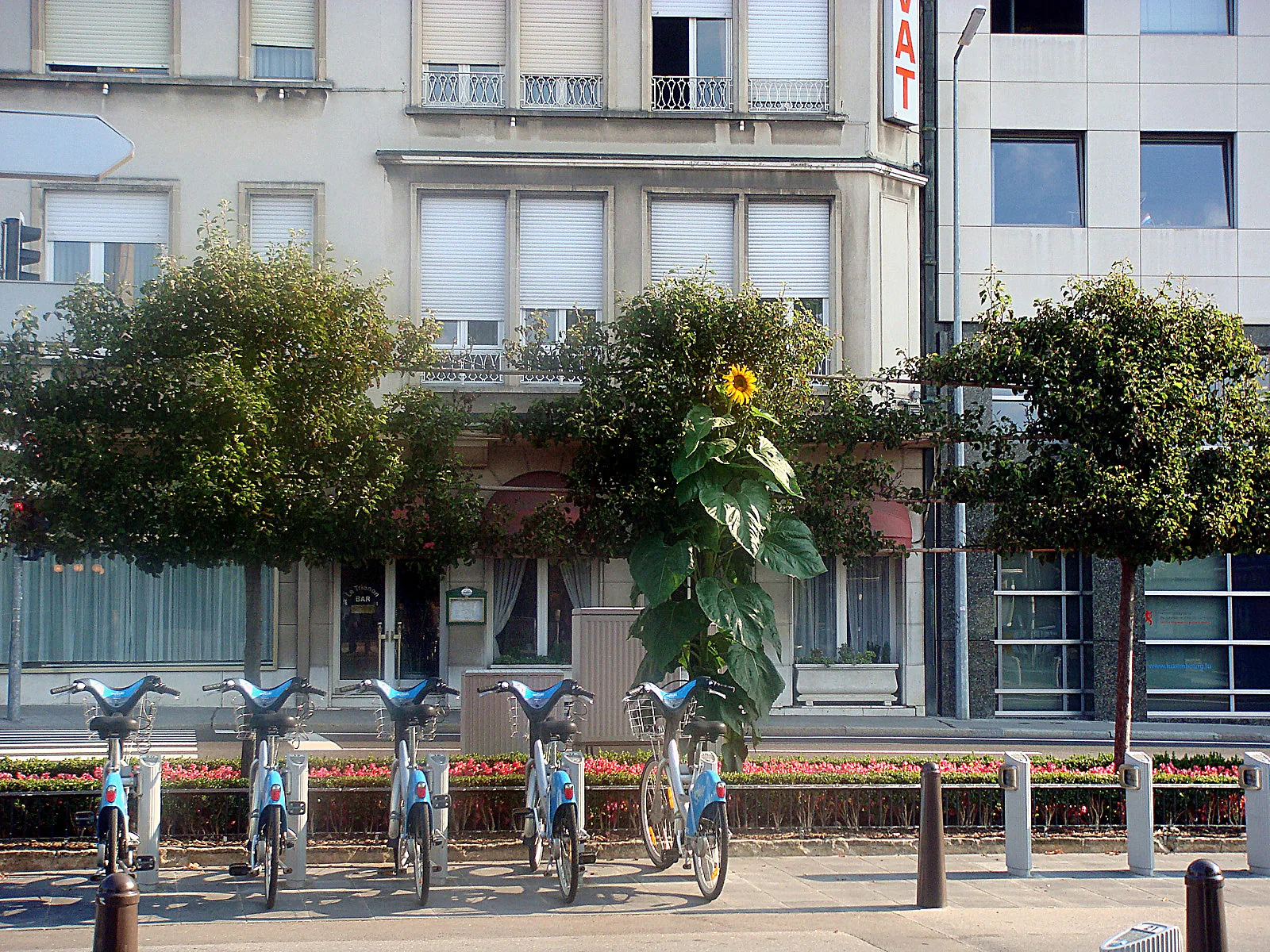 Belgium, Netherlands, Luxembourg – 2009 - 687.jpg