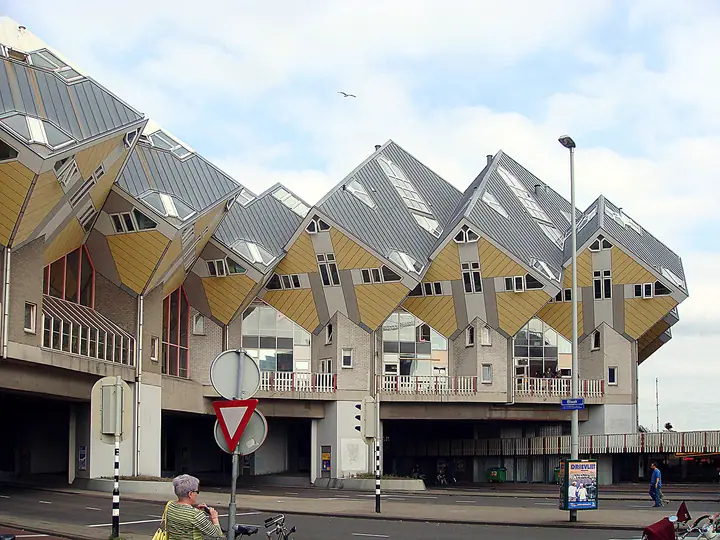494.jpg