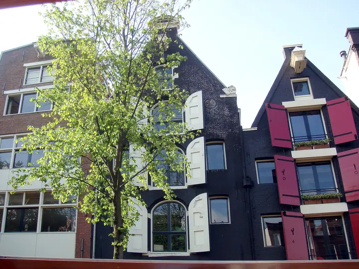 546.jpg