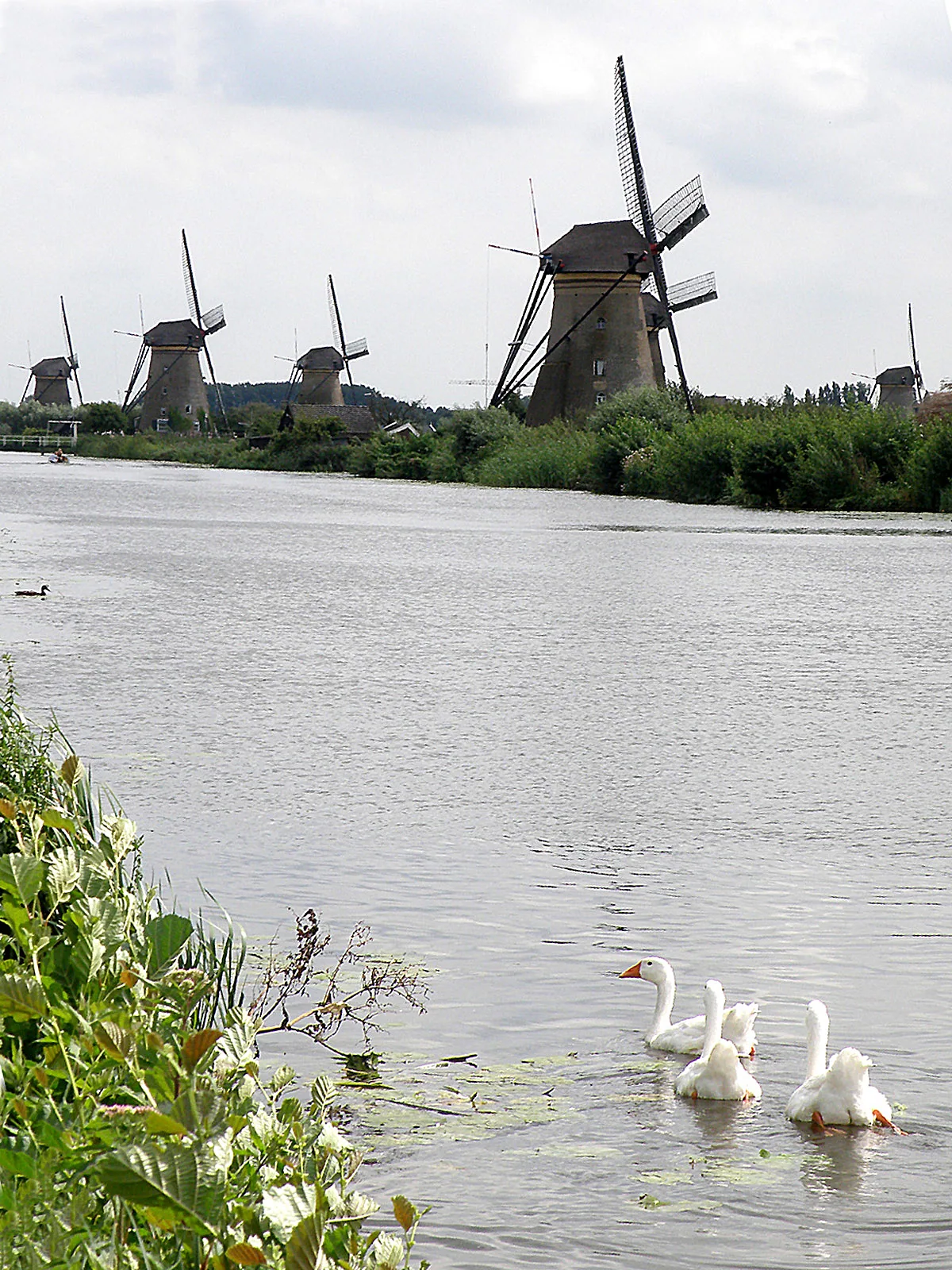 Belgium, Netherlands, Luxembourg – 2009 - 487.jpg