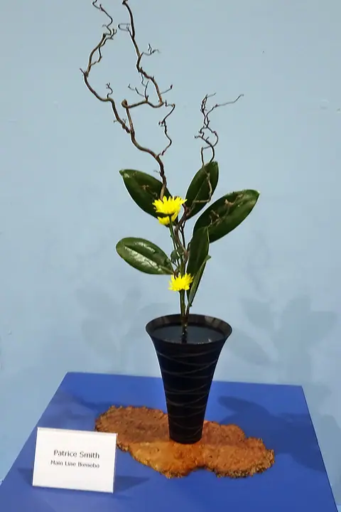 ph269.jpg