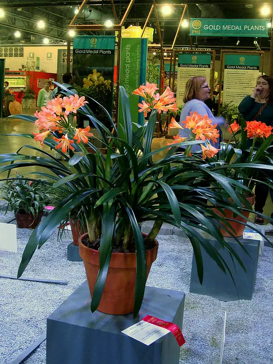 ph210.jpg
