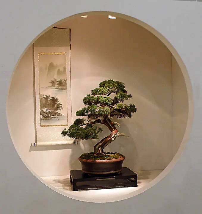 ph200.jpg