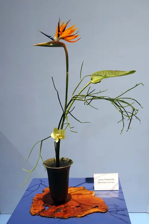 ph272.jpg