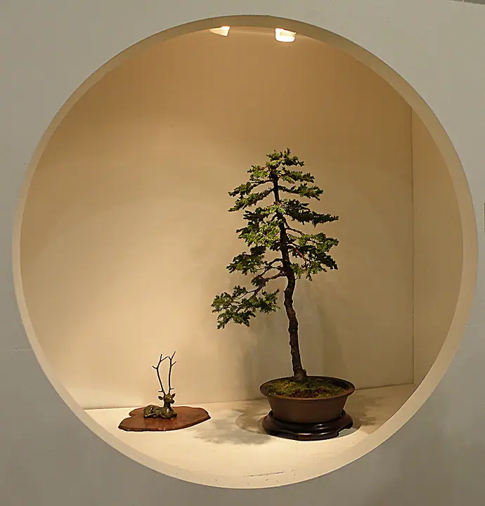 ph202.jpg