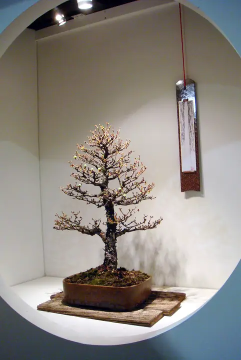 ph083.jpg