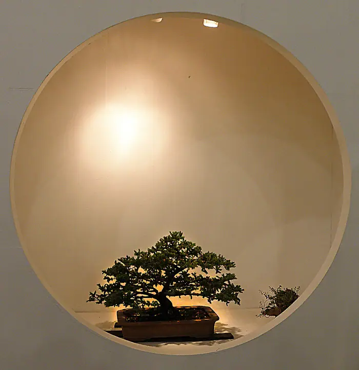 ph204.jpg