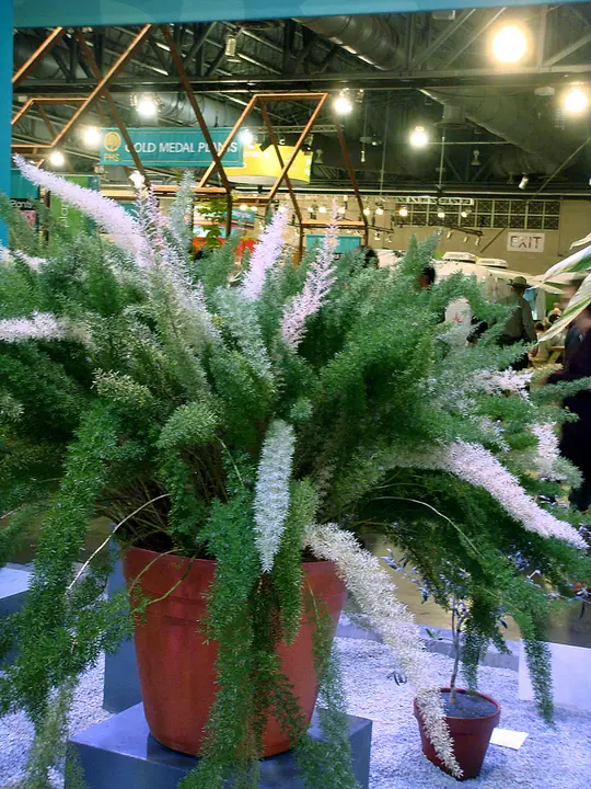 ph209.jpg