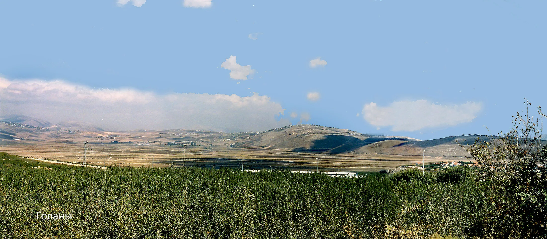 Israel – 1998-99 - 1998-i38.jpg