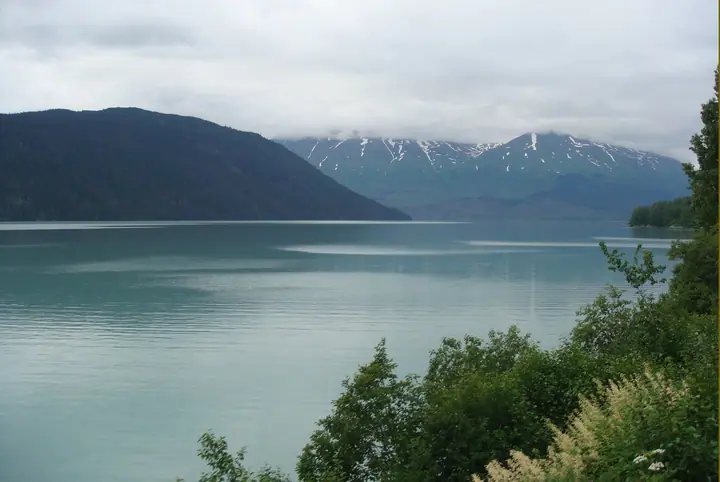 2008-14.07-49.jpg