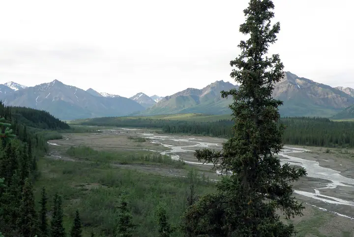 2008-10.07-2.jpg
