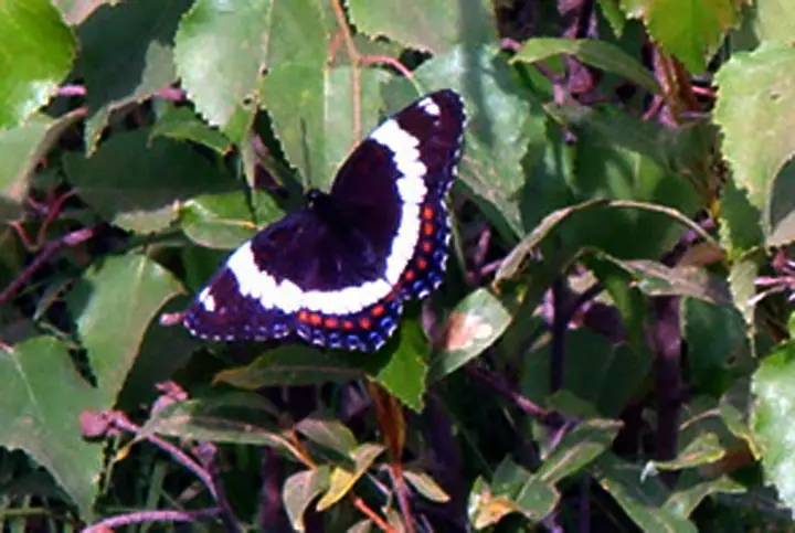 2008-12.07-8.jpg