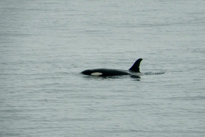 2008-14.07-42.jpg