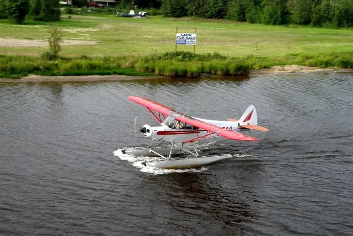 2008-11.07-8.jpg