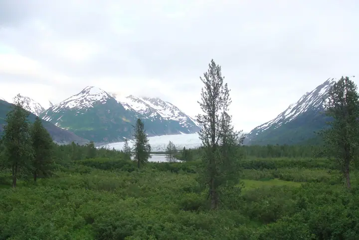 2008-14.07-52.jpg