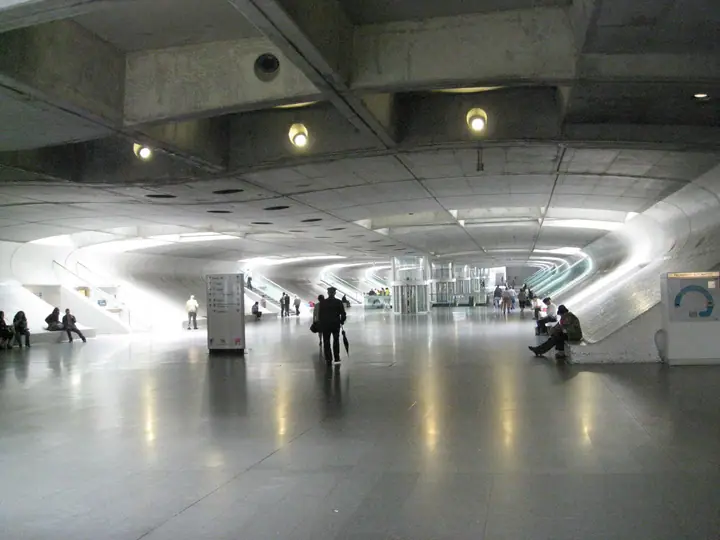 492.jpg