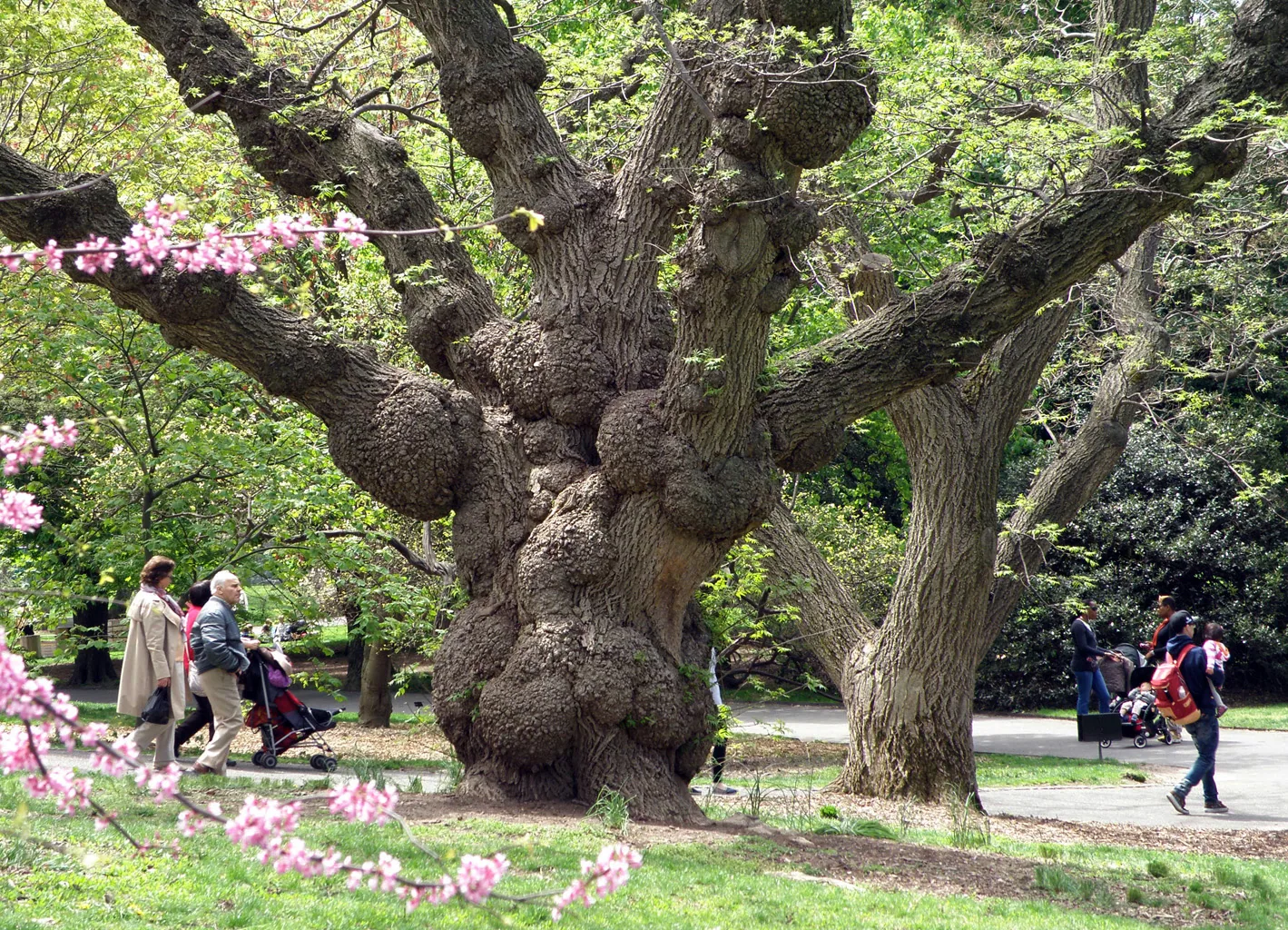 America - 14bg34.jpg