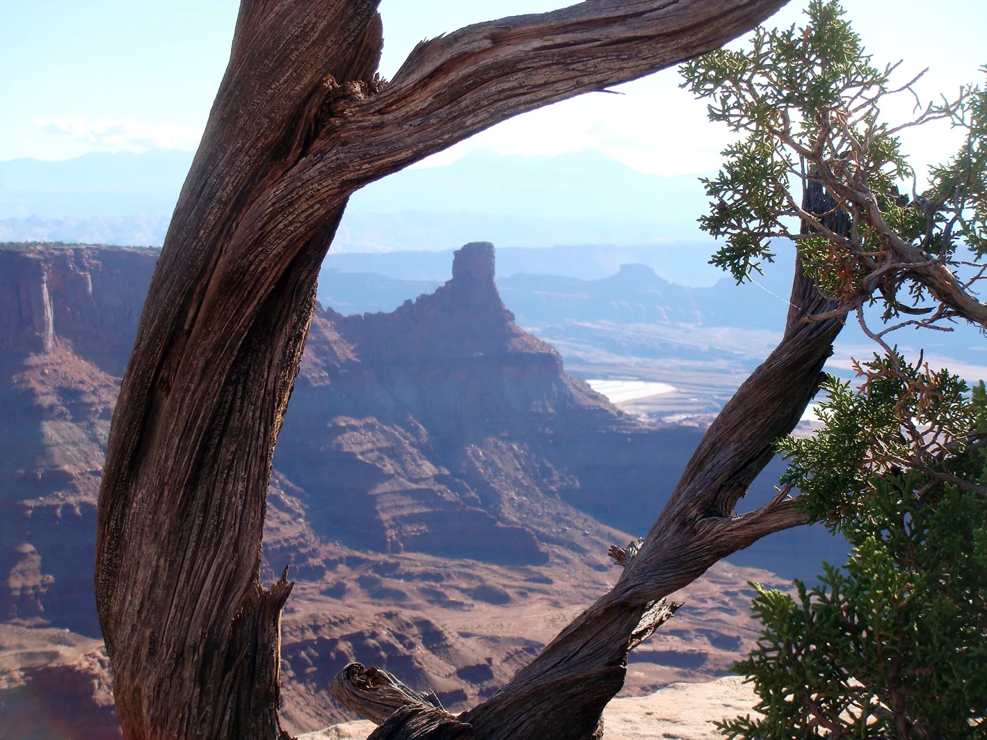 America - 12-006.jpg