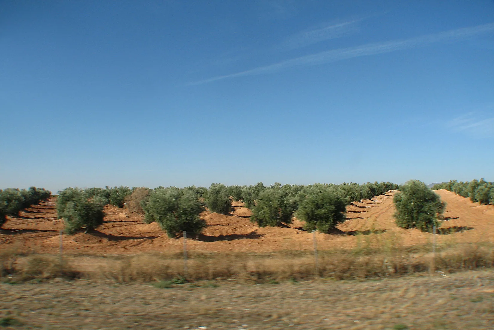Spain – 2007 - 113.jpg