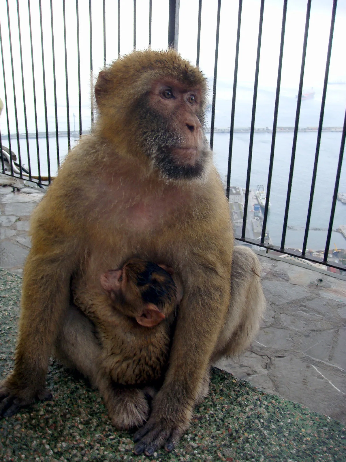 Spain – 2007 - 346.jpg